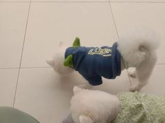 -怪兽屋·羊驼·猫咖·狗咖(俊华广场店)