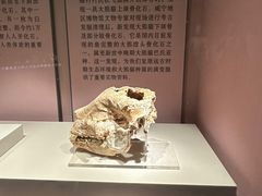 -咸宁市博物馆