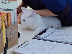 -全心全意连锁动物医院·微创中心·内科急重症·心脏专科(丰管路店)