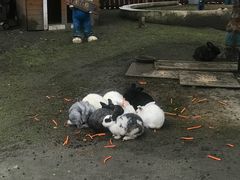 -国色天乡三期陆地乐园