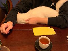 -一盃山水咖啡茶馆
