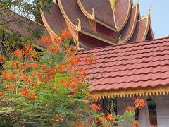 -曼听御花园