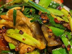 回锅肉-陈麻婆豆腐总店