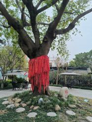 -莲生母婴月子中心(清水河公园店)