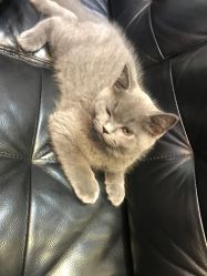 -SIX Hair Consultant