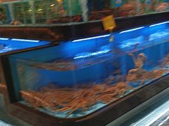 -阿伟海鲜楼·福建菜(延寿店)