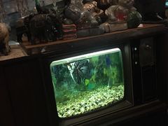 -自然餐厅(Phuket)