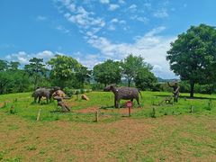 -北京西山国家森林公园