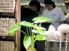 -自由生长植物工作室(深港花卉中心店)
