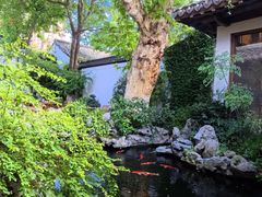 -鲤院·新中式美学·庭院餐厅(夫子庙店)