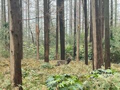 -上海怡沁园度假酒店