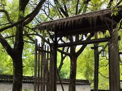 -兰亭风景区