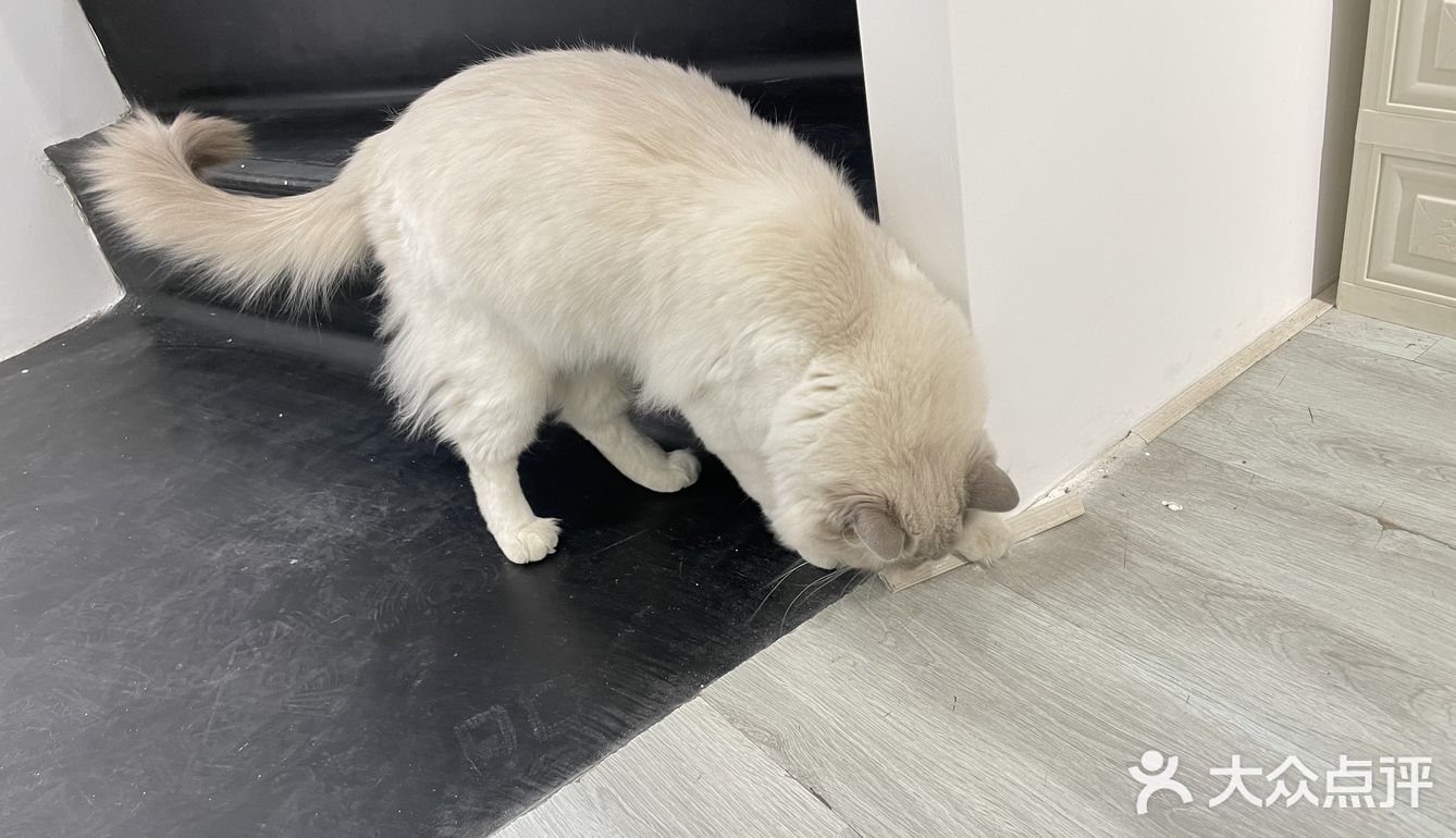拍的照片曝光控制得非常完美