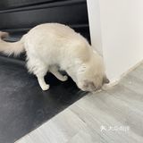 拍的照片曝光控制得非常完美