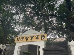-长洲岛