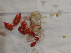 -潮香兴煲仔饭(莲花路店)