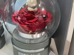 -ROSEONLY诺誓(广州K11店)