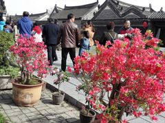 -内乡县衙博物馆