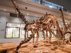 -自贡恐龙博物馆
