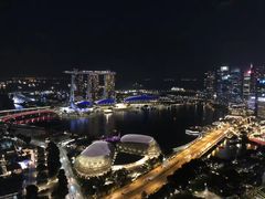 -新加坡瑞士史丹福酒店