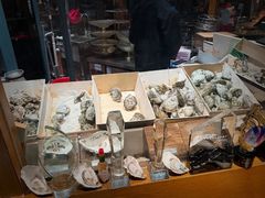 -普朗姆生蚝吧(原建国路店)