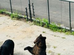 -大连森林动物园