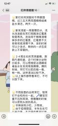-花师傅