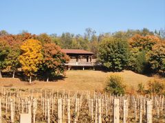 -北京张裕爱斐堡酒庄