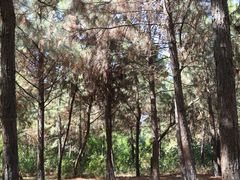 -艾溪湖湿地公园