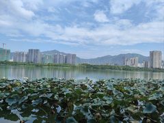 -飞来湖湿地公园