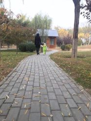 -大望京儿童游乐场