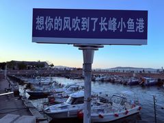 -悦海公园