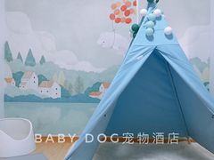 20平豪华星空房-BABYDOG宝贝狗宠物乐园(欧洲城店)
