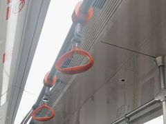 -盈丰路(地铁站)