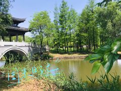 -梁鸿国家湿地公园