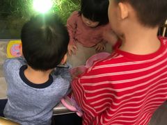 -御彩酒家(东风东路店)