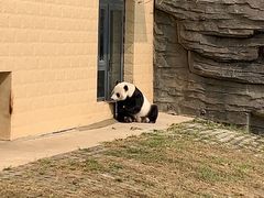 -辛玛王国游乐园