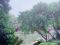 -柳侯公园