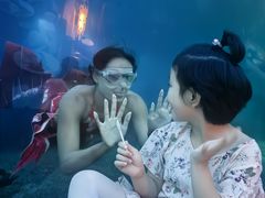 -涛·海底餐厅·美人鱼·自助餐·海底隧道(三亚海棠湾洲际度假酒店)