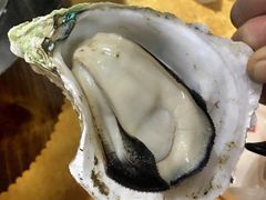 -蚝专家(北滘店)