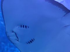 -多彩贵州城极地海洋世界