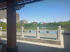 -雁滩公园