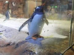 -波塞冬海底世界
