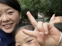 -中山市树木园