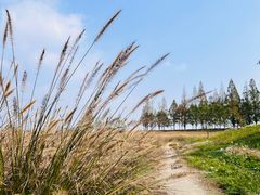 -良渚古城遗址公园