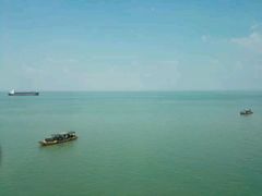 -红树林天天赶海