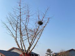 -孔子六艺文化园