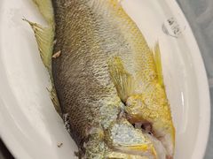 -吴记富苑(朝阳店)