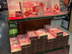 -关西国际机场直营免税店