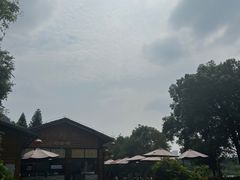 -海珠湖公园